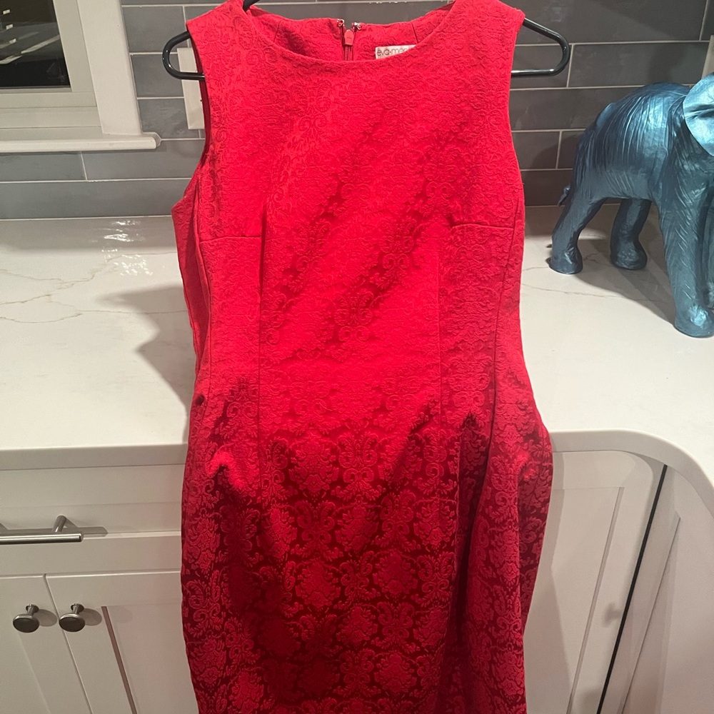 Eva Mendes Red Dress (Must Add to a Bundle Amounting to a Minimum of $20)
